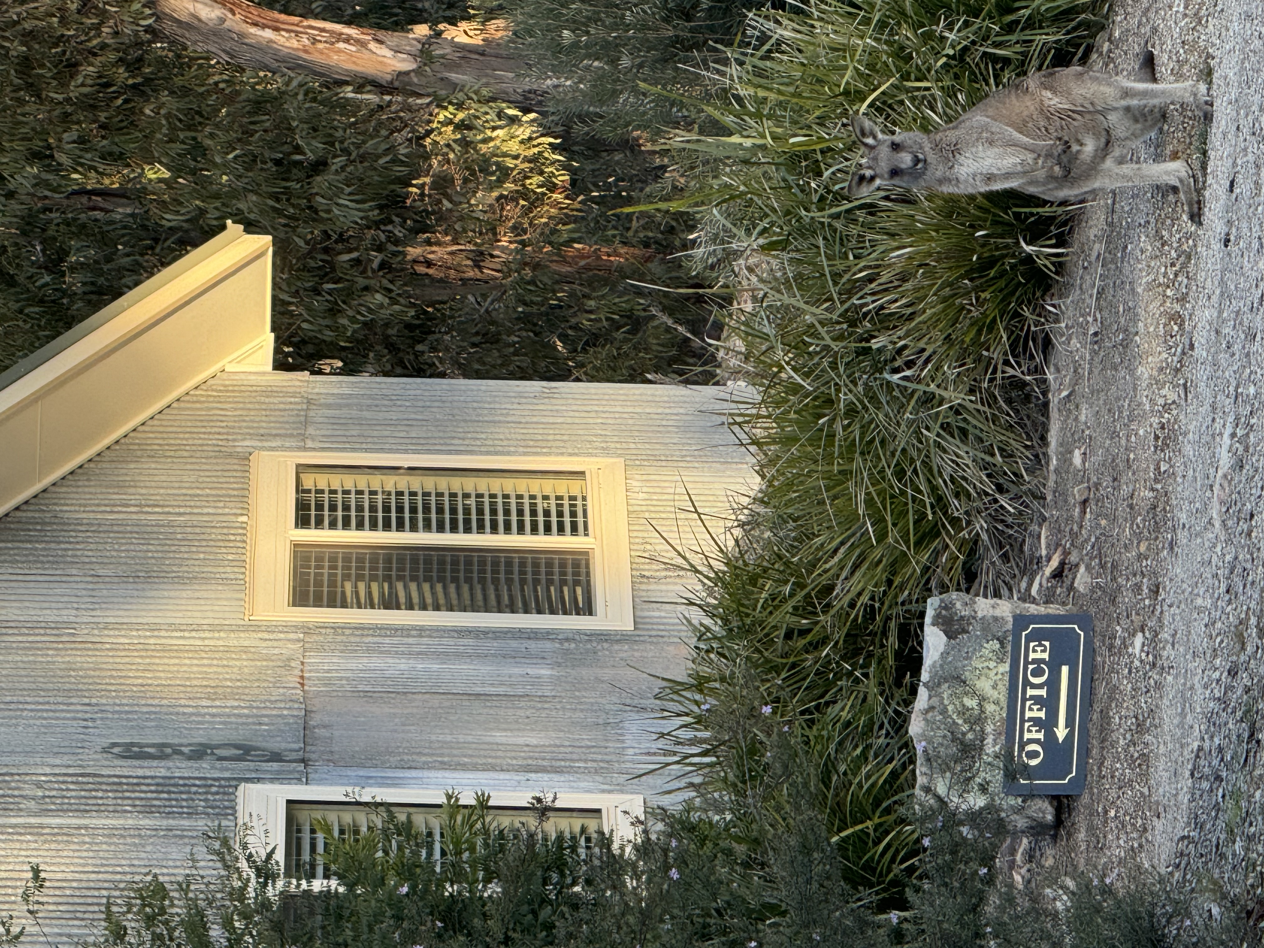 Restoration Online Office in the Morning Sun